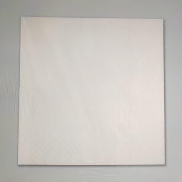 SERVILLETA 33X33 2H. PQTE 50 C/58